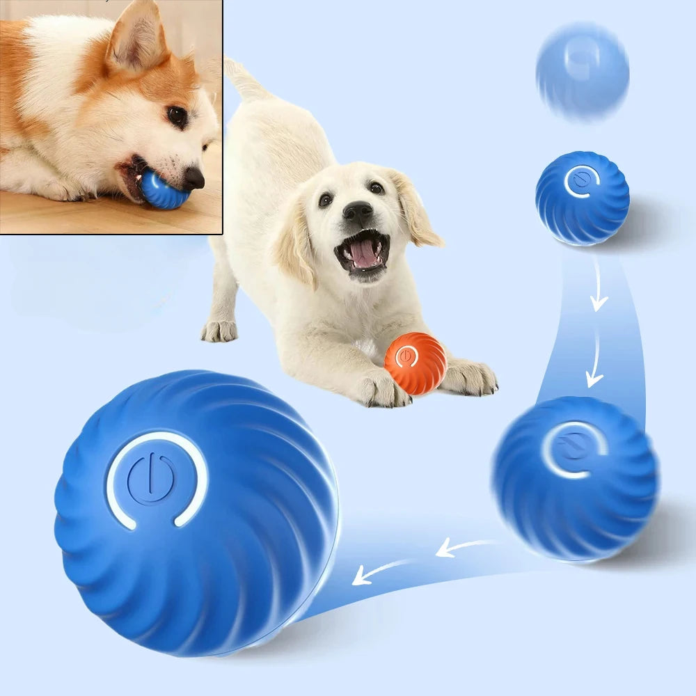 SmartPaws Automatic Moving Dog Toy Ball – Interactive Bouncing, Rolling & Chew Toy - Orange Buy Your Favorites