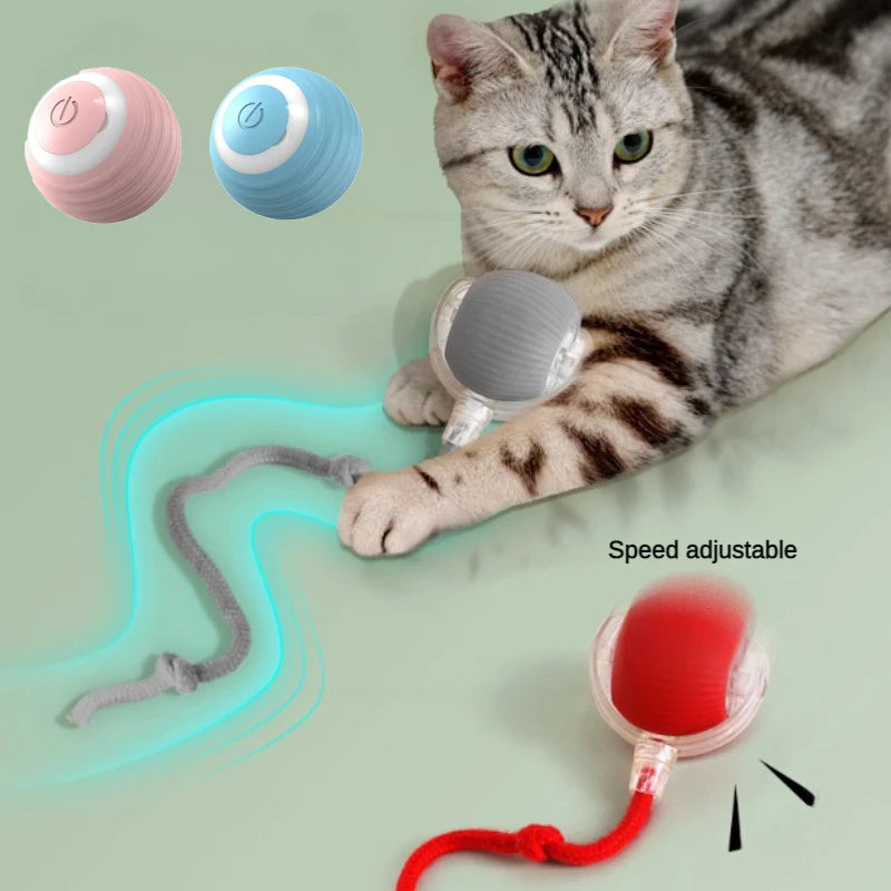 PawsPlay Interactive Pet Toy Ball – Smart Motion Toy for Cats with Auto Shut-Off & Three Speed Modes - Blue Ball Buy Your Favorites