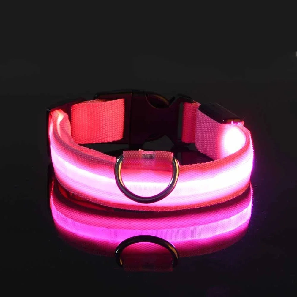 LED Dog Collar – Nighttime Safety for Your Furry Friend - Pink / Xs Neck 28-38Cm Buy Your Favorites
