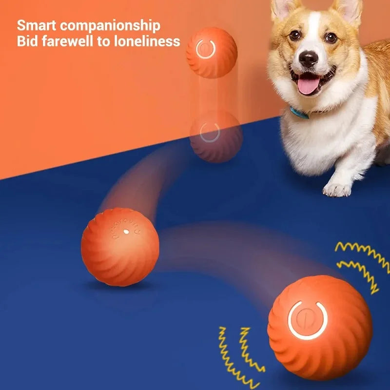 SmartPaws Automatic Moving Dog Toy Ball – Interactive Bouncing, Rolling & Chew Toy - Orange Buy Your Favorites