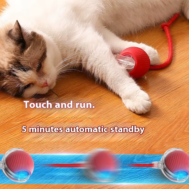 PawsPlay Interactive Pet Toy Ball – Smart Motion Toy for Cats with Auto Shut-Off & Three Speed Modes - Blue Ball Buy Your Favorites