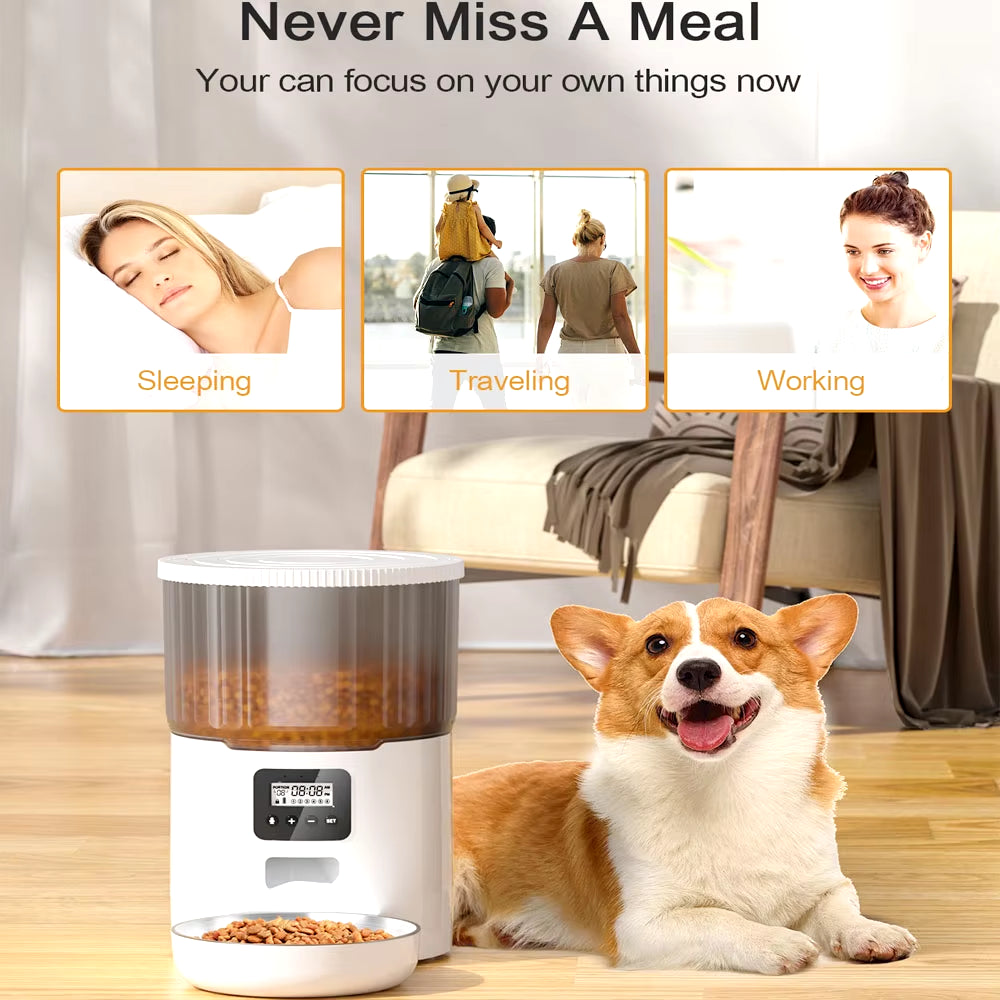 Smart Automatic Pet Feeder - 4L Capacity with WiFi Connectivity & Voice Interaction - Combination A Buy Your Favorites